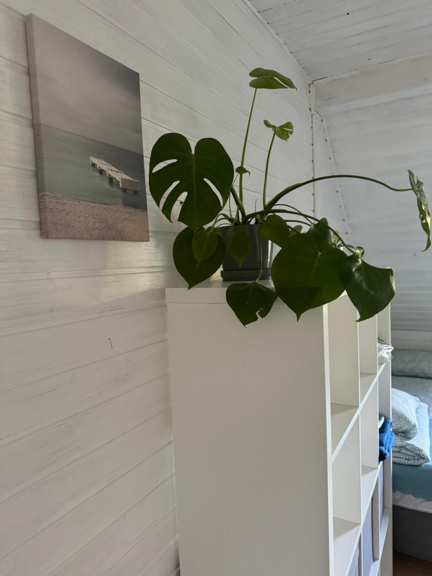 48C Domki Letniskowe I Apartament Поберово Екстериор снимка